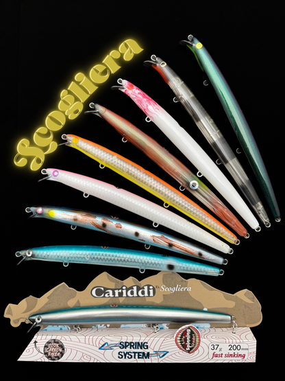 CARIDDI Scogliera