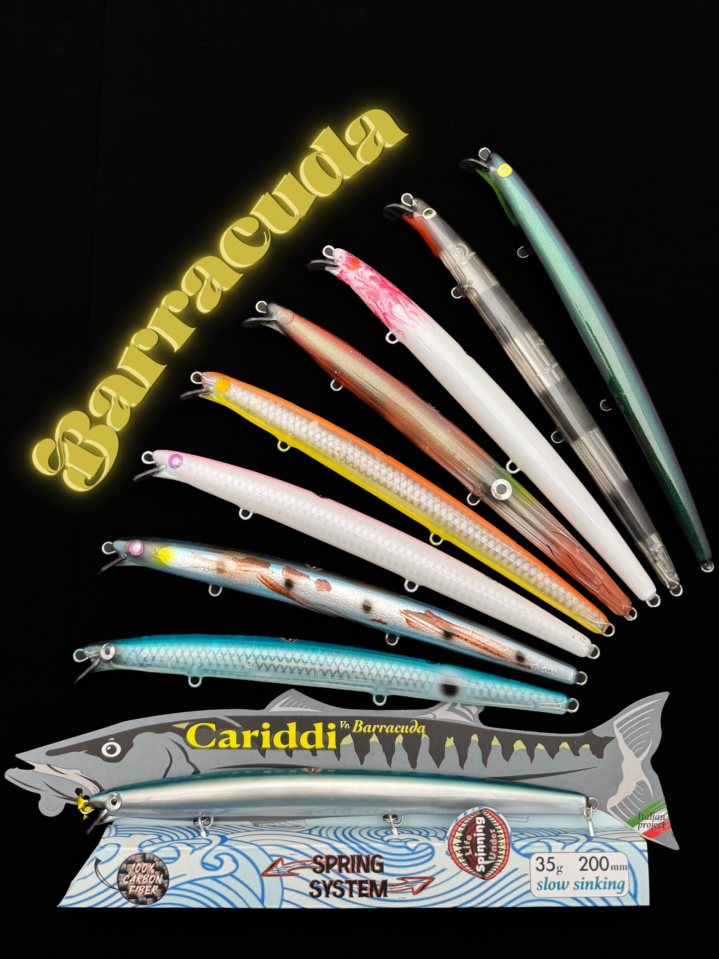 CARIDDI Barracuda