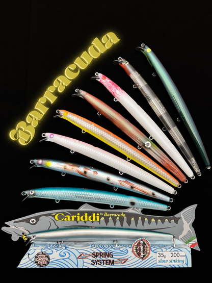 CARIDDI Barracuda
