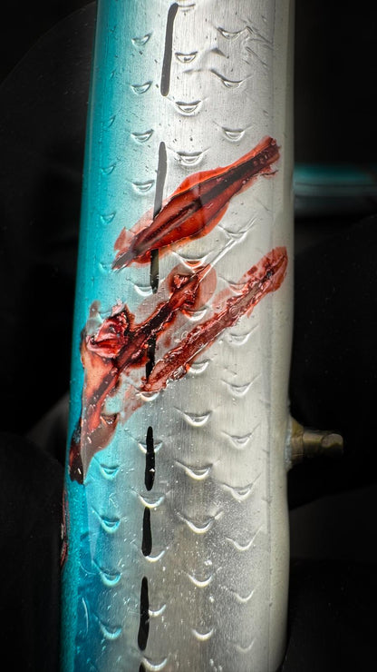 "OCCHIATA FERITA" Scilla 21