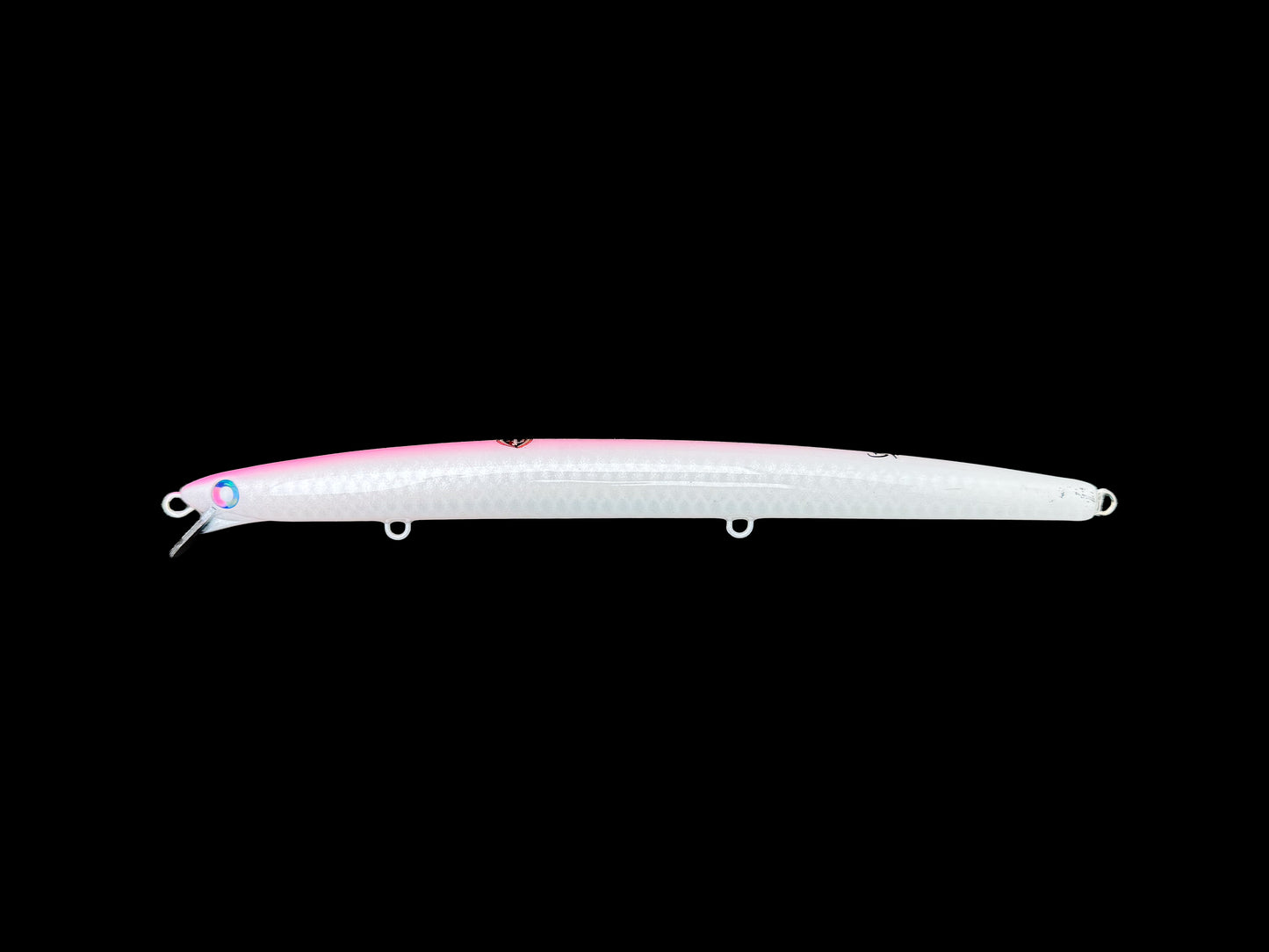 CARIDDI Barracuda