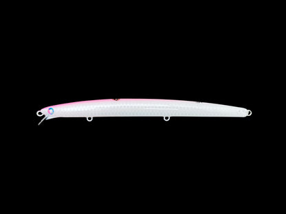 CARIDDI Barracuda