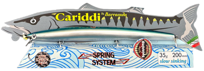 CARIDDI Barracuda