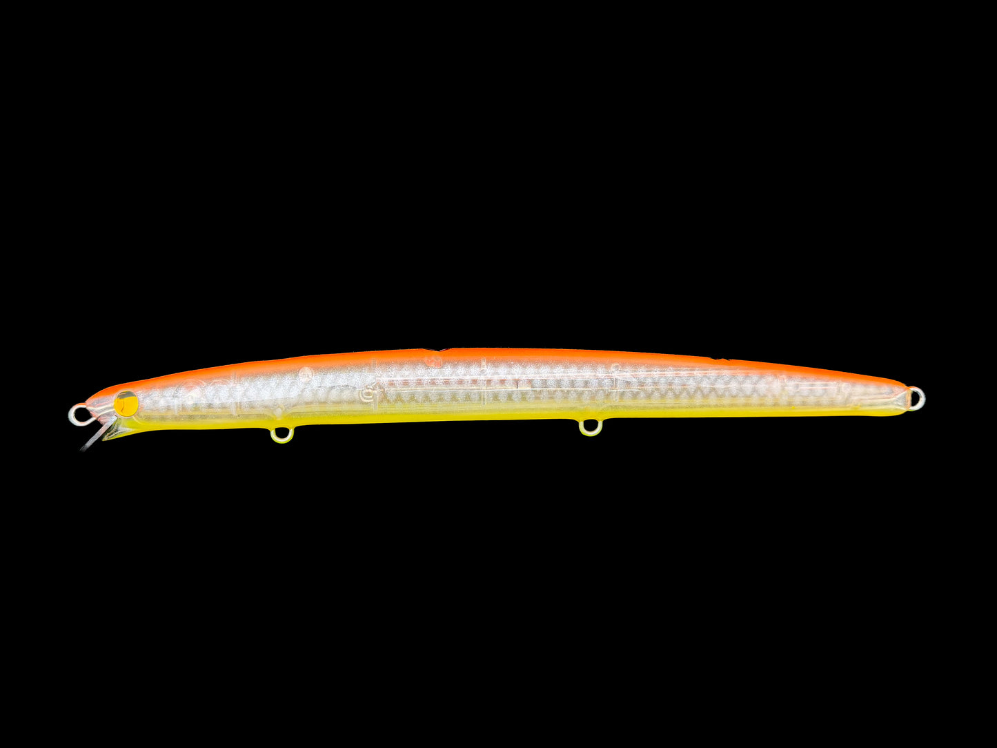 CARIDDI Barracuda