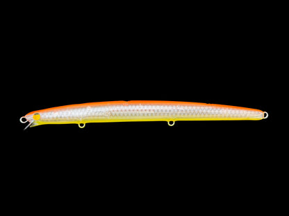 CARIDDI Barracuda