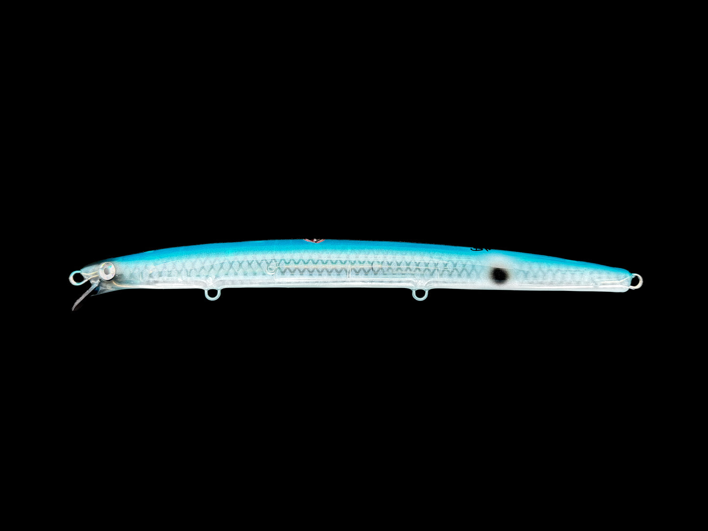 CARIDDI Barracuda