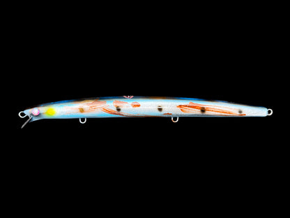 CARIDDI Barracuda