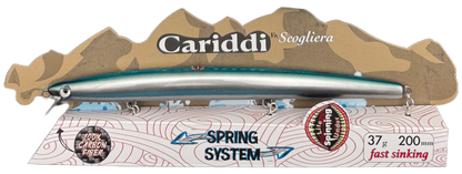 CARIDDI Scogliera