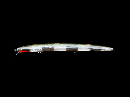 CARIDDI Barracuda