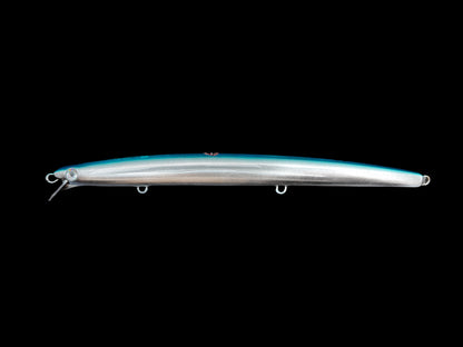 CARIDDI Barracuda